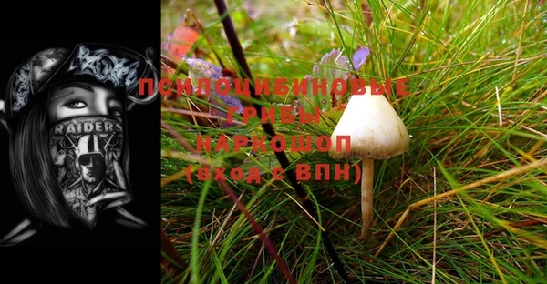 героин Алзамай