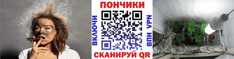 Бошки Шишки гибрид  Слободской 